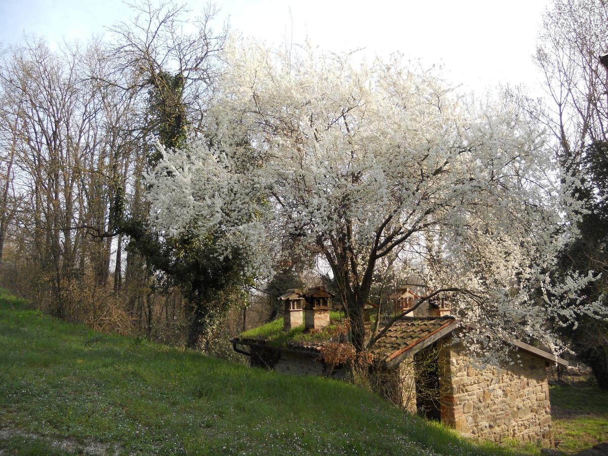 La Cartiera Dei Benandanti Bauernhof *