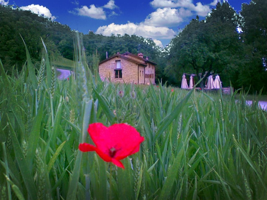 La Cartiera Dei Benandanti Farm stay