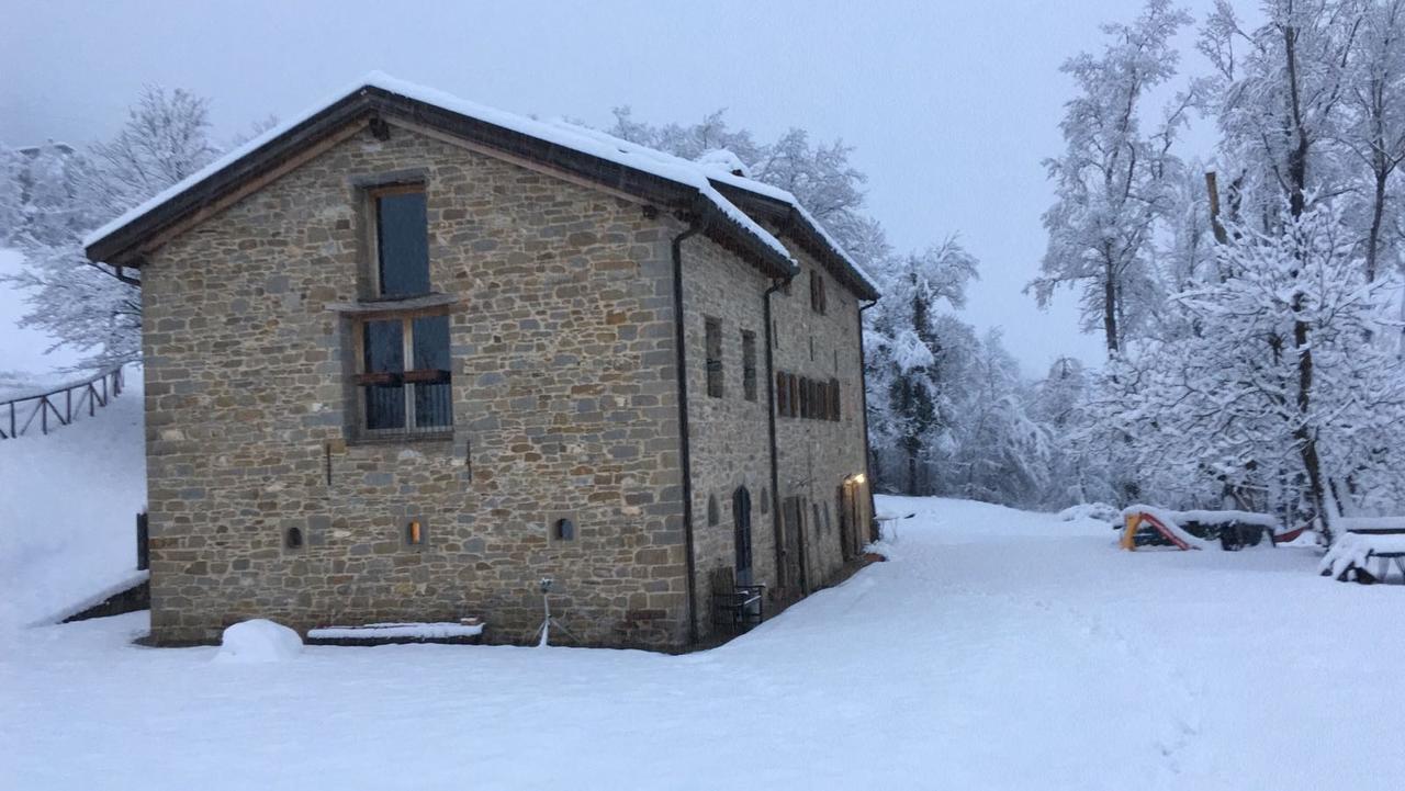 Farm stay La Cartiera Dei Benandanti