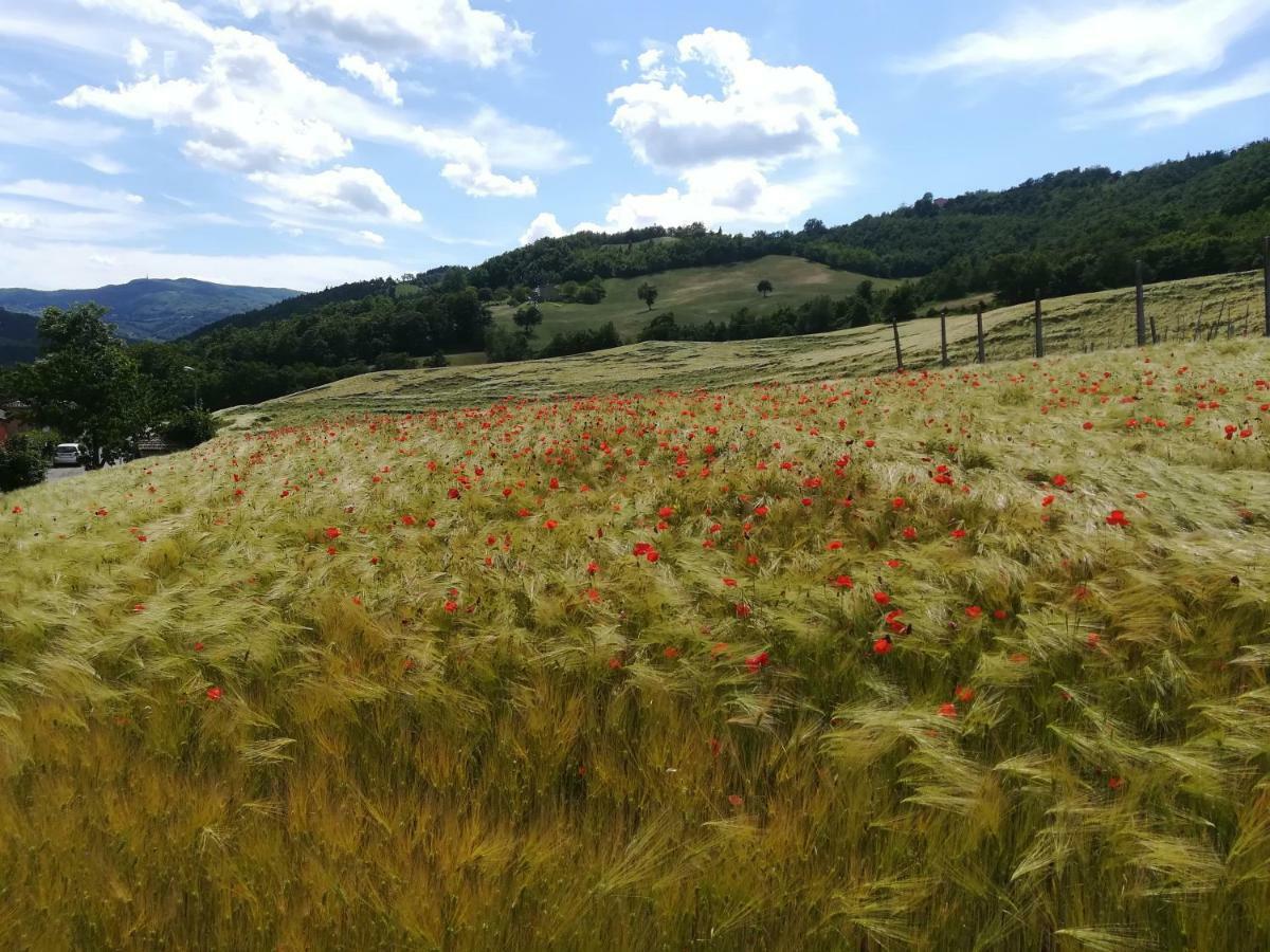 Farm stay La Cartiera Dei Benandanti *