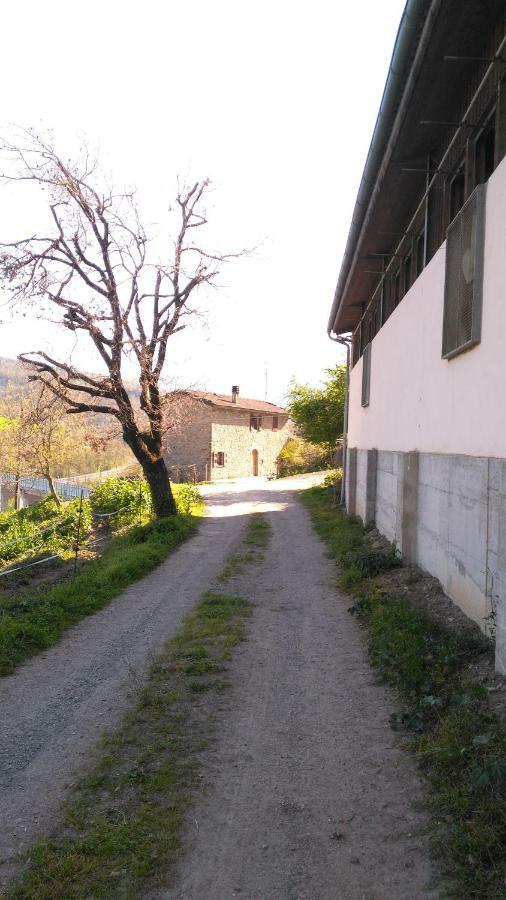 Farm stay La Cartiera Dei Benandanti