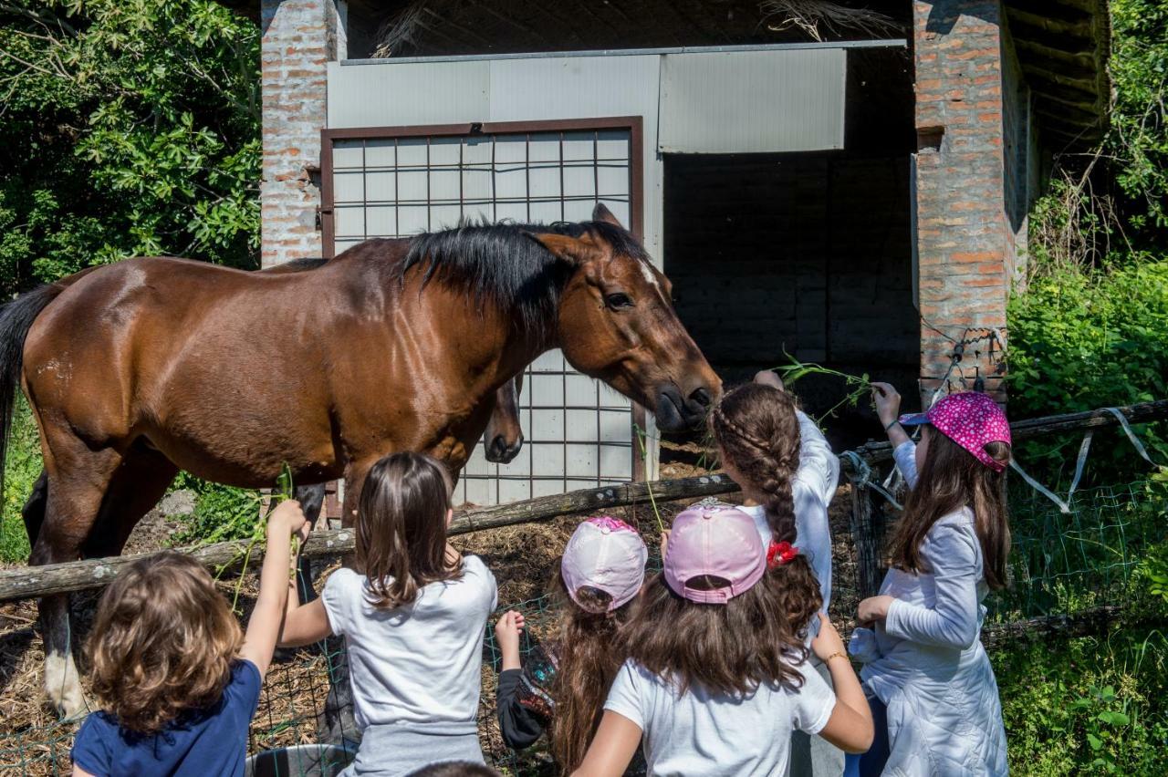 Farm stay La Cartiera Dei Benandanti
